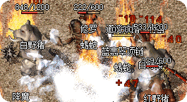 复古新区开放 散人玩家从零开始的生存手册